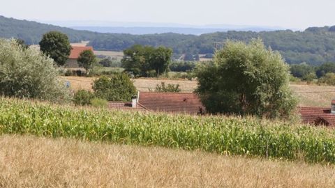 « Obliger les agriculteurs à engager des dépenses de semences et de façons culturales pour ne pas obtenir de levées des graines implantées n’a aucun sens », selon la Coordination rurale. © P. Peeters/GFA « Obliger les agriculteurs à engager des dépenses de semences et de façons culturales pour ne pas obtenir de levées des graines implantées n’a aucun sens », selon la Coordination rurale. © P. Peeters/GFA